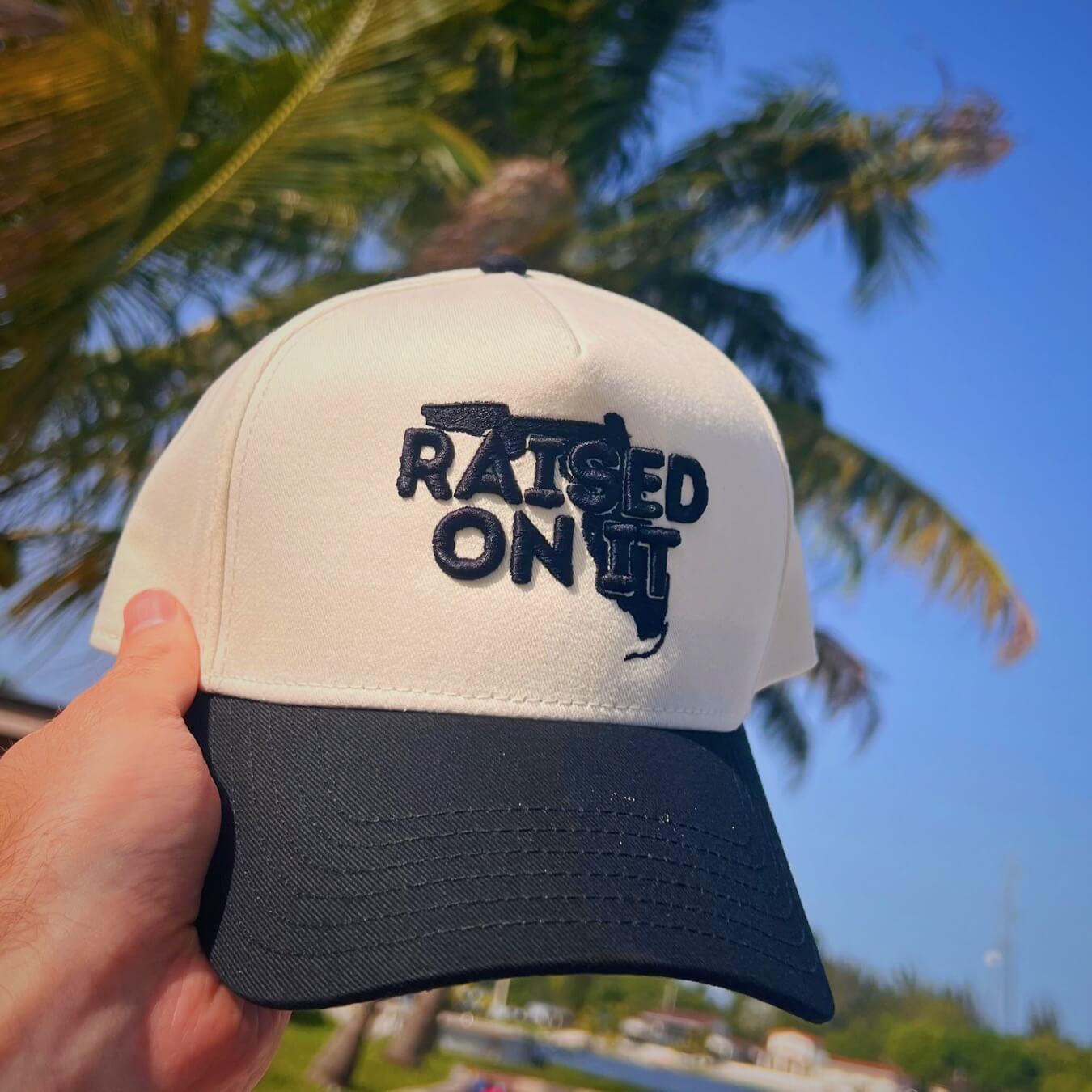 White/Black Florida Logo trucker hat held up against palm trees