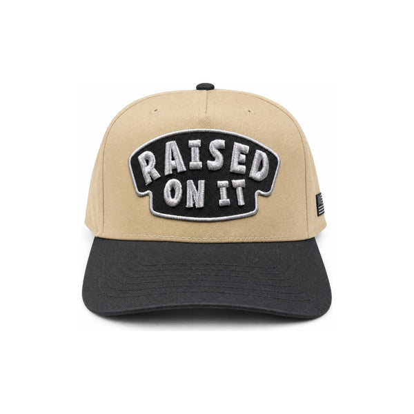 Raised On It | America 250 | Embroidered Logo Hat